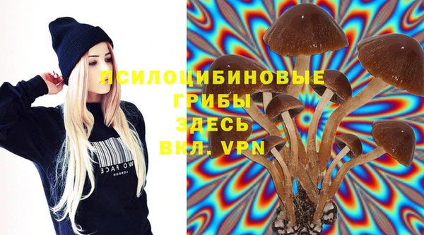 тгк Армянск